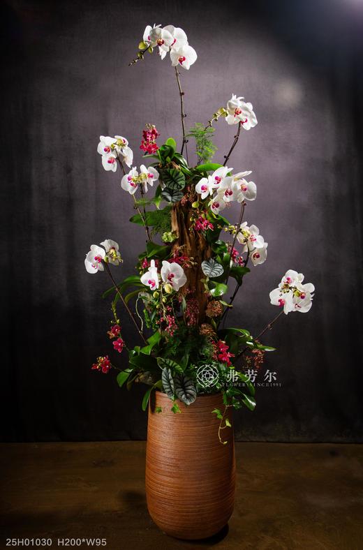 龙蛇飞动 商品图0