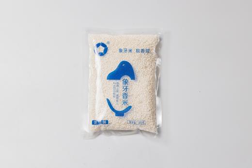 象牙香米38天鲜米系列300g【体验装】（仅限社区活动购买自提 其他订单无效自动退单） 商品图0