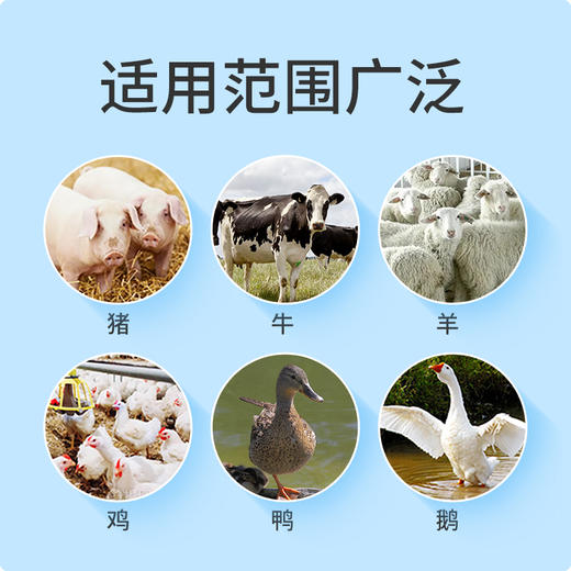 出口型油性记号笔   蓝色红色绿色蜡笔 商品图2