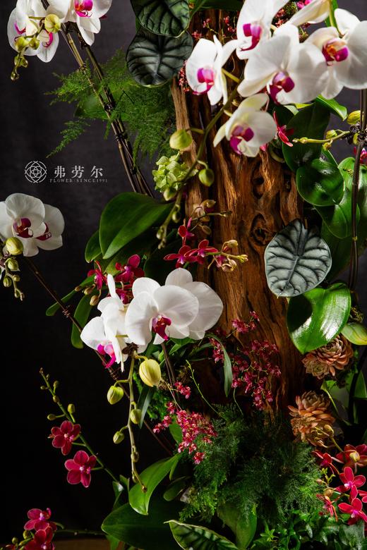 龙蛇飞动 商品图1