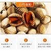 血蛤中大粒（约500G）/份 /份 商品缩略图1