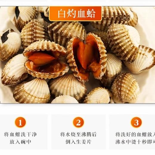 血蛤中大粒（约500G）/份 /份 商品图1