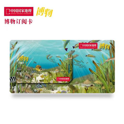 【1年订阅卡】《博物》杂志-12期订阅兑换卡 礼品卡 文化礼品 商品图1