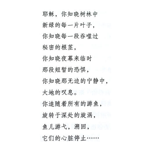 异域的考验 德国浪漫主义时期的文化与翻译 三联书店 商品图4