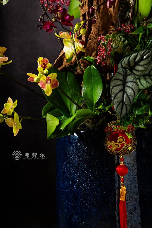 福蛇迎春 商品图3