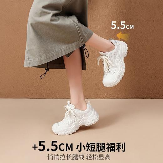 ZHR厚底户外登山鞋女复古百搭网面透气运动休闲鞋女鞋丑萌老爹鞋 商品图4