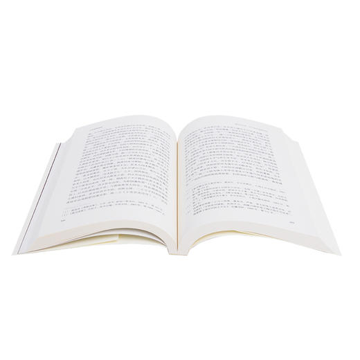 文学思想研究 第一辑 沙红兵 编 三联书店 商品图1