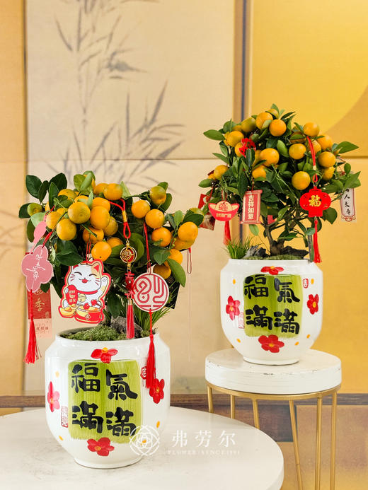 JT大吉大利 商品图0