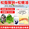 45%松脂酸钠勤天助松精油套餐果园清园剂大鹏清园灵清园宝介壳虫 商品缩略图3