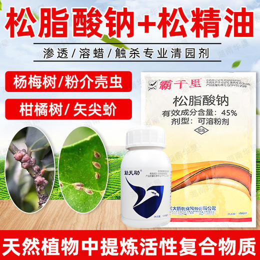 45%松脂酸钠勤天助松精油套餐果园清园剂大鹏清园灵清园宝介壳虫 商品图3