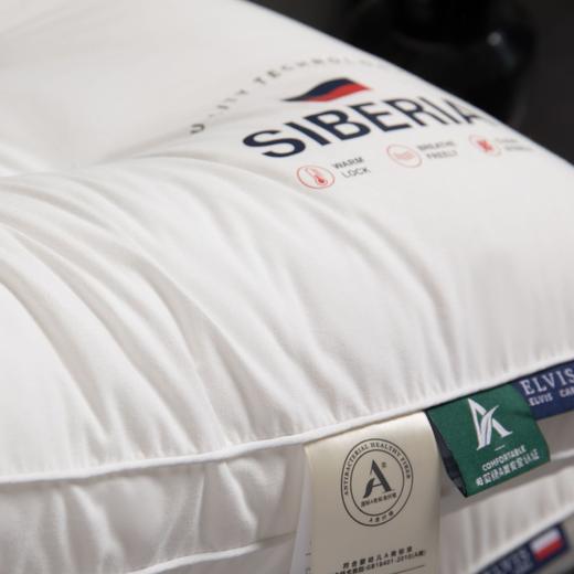 【精选】诗梦姿 A类枕芯全棉枕头 舒适承托辅助睡眠 柔软舒适单人枕芯 弹性持久耐磨耐用 商品图1