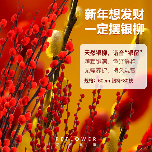 【30枝·新款双拼色·皆得所愿】新年银柳花盒套装款 | 新客福利 商品图3