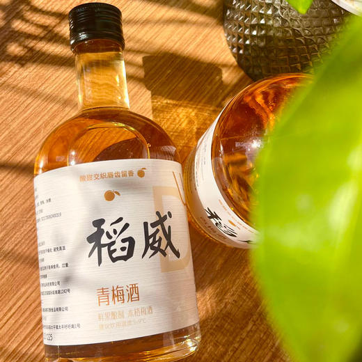 稻威 青梅酒 清爽酸甜 果香浓郁 375ml*2瓶 送礼袋 商品图2