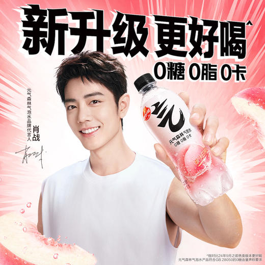 【直供】元气森林气泡水480mL*15瓶整箱 商品图0