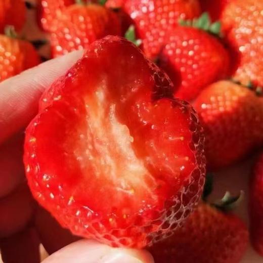 【基地直发】九九红颜草莓，颗颗精选果实饱满，口感香甜多汁，2.4斤礼盒装 （400g*3）大中小果混拼 商品图6