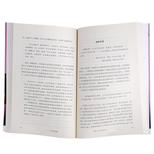 新知文库40 伊索尔德的魔汤 克劳迪亚·米勒-埃贝林 著 三联书店 商品图3