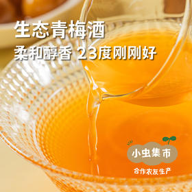 生态青梅酒 500ml/瓶 | 合作农友生产，产自从化仙娘溪，生产者：原乡梅好合作社 *【公平贸易农人定价】