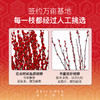 【30枝·新款双拼色·皆得所愿】新年银柳花盒套装款 | 新客福利 商品缩略图4