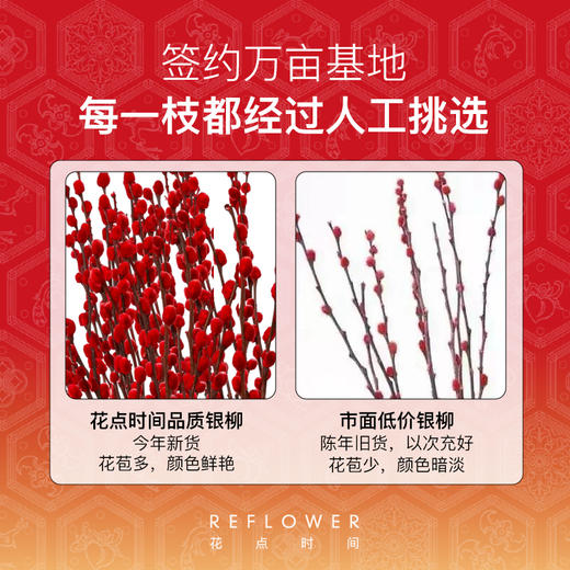 【30枝·新款双拼色·皆得所愿】新年银柳花盒套装款 | 新客福利 商品图4