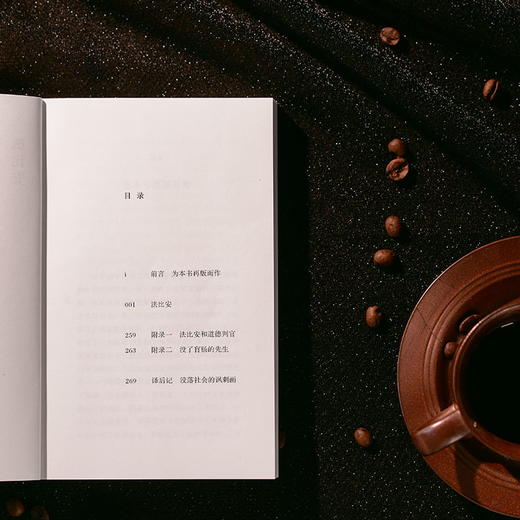 法比安丨献给大萧条时代的小镇青年 商品图6