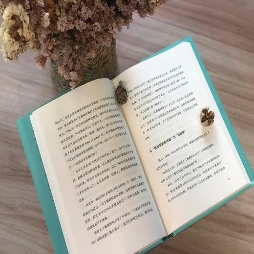 不婚社会：日本婚姻的未来走向［日］山田昌弘 著 三联书店 商品图1