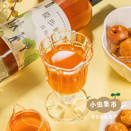 生态青梅酒 500ml/瓶 | 合作农友生产，产自从化仙娘溪，生产者：原乡梅好合作社 *【公平贸易农人定价】 商品图1