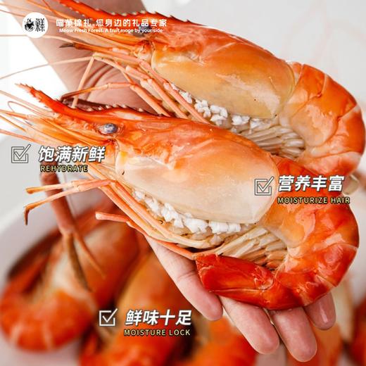 漁禮記  阳澄湖1号黑金罗氏虾王 商品图4