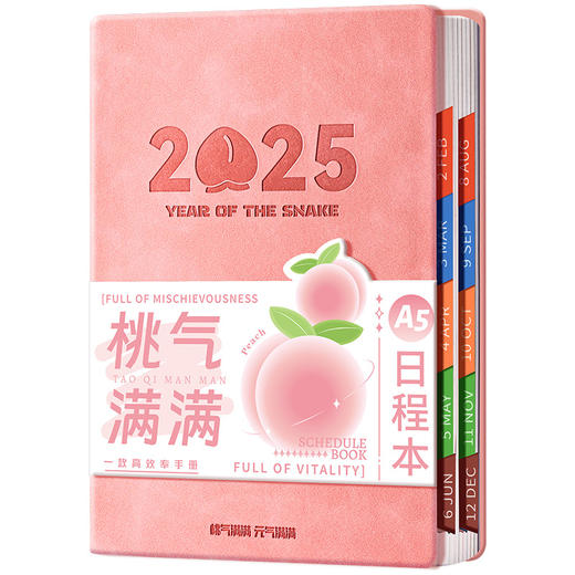 A5日程本2025年学生时间管理规划本商务办公效率记事本节日伴手礼 商品图4