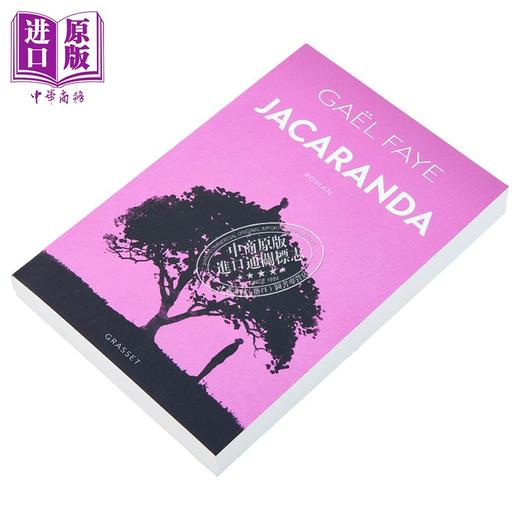【中商原版】【法文版】小小国作者新作 蓝花楹 2024年雷诺多文学奖获奖作品 Jacaranda 法文原版 Gael Faye 历史小说 商品图2