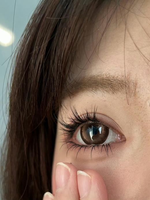 jellydoll 日抛 （十片装） 焦糖布丁 直径14.5mm着色14.4mm 商品图2