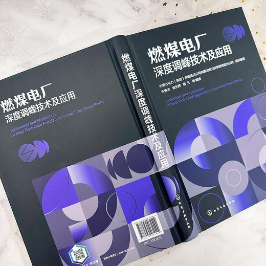 燃煤电厂深度调峰技术及应用 商品图6