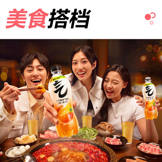 【直供】元气森林气泡水480mL*15瓶整箱 商品图3