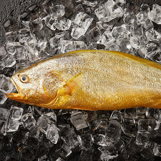 渔老板 环球海鲜冻品礼盒 优质海产品 三门县海岸线养殖 冷链运送 年货送礼福利团购 商品图1