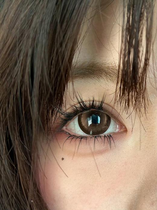 jellydoll 日抛 （十片装） 焦糖布丁 直径14.5mm着色14.4mm 商品图3