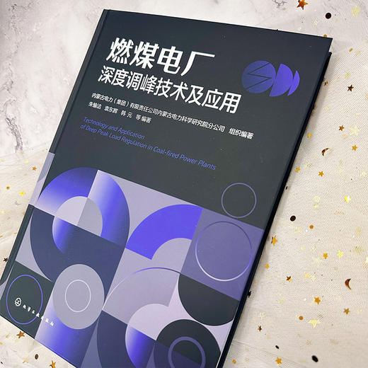 燃煤电厂深度调峰技术及应用 商品图4
