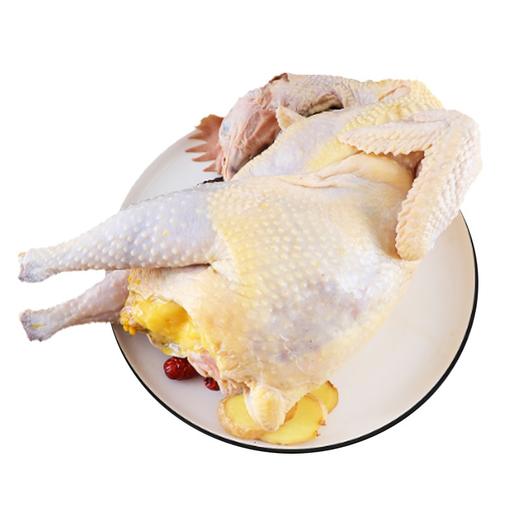 [上海企团]苏食林地散养黄油母鸡1.4kg 商品图0