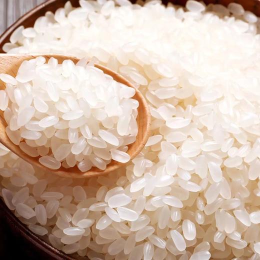 金龙鱼方正长粒香大米5kg 商品图2