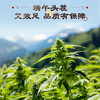 可孚陈年纯艾柱 艾绒细腻 商品缩略图1