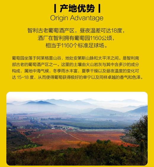 大黄狗智利进口大黄狗西拉干红葡萄酒 750ml 单支750ml 【直选好酒】  KLJB 商品图4