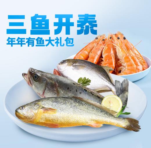 严选 | 三鱼开泰 年年有鱼大礼包 大黄花500g+海鲈鱼500g+金鲳鱼500g【赠400g盐田熟虾】 商品图1