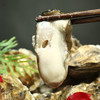 【送豪华3件套】乳山生蚝 净重4-4.5斤 肥美鲜甜 现捞现发 商品缩略图2