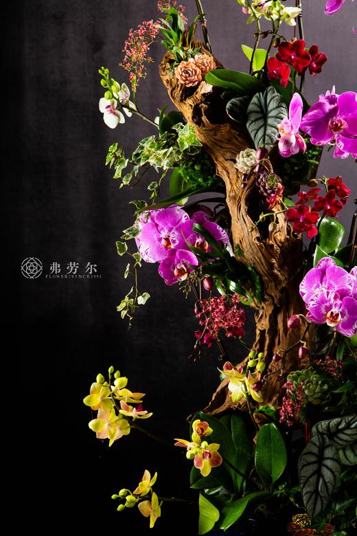 福蛇迎春 商品图1