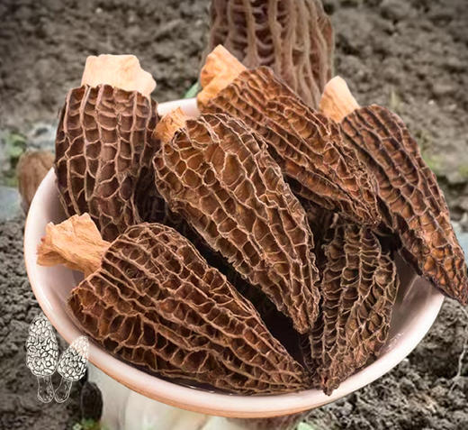 头茬羊肚菌 60g/袋【LFH】 商品图1