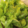 生态儿菜【含儿菜妈妈】（农场直发-顺丰包邮） | 4斤装，来自成都郫都【原乡农场，自产自销】 商品缩略图7