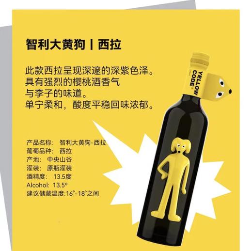 大黄狗智利进口大黄狗西拉干红葡萄酒 750ml 单支750ml 【直选好酒】  KLJB 商品图1