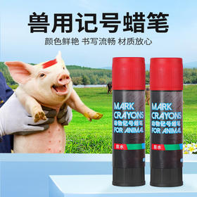 出口型油性记号笔   蓝色红色绿色蜡笔