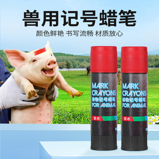 出口型油性记号笔   蓝色红色绿色蜡笔 商品图0