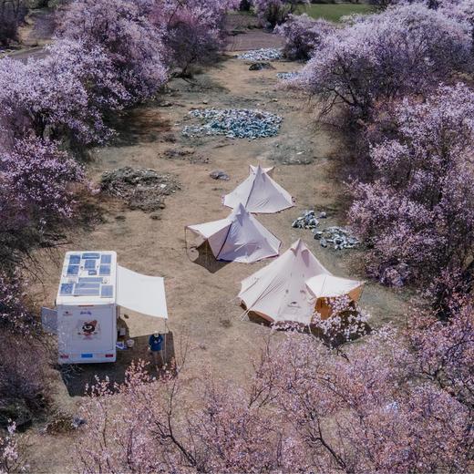 松赞·林芝-拉萨 | 雪域桃花自然人文探索 6天5晚 商品图8