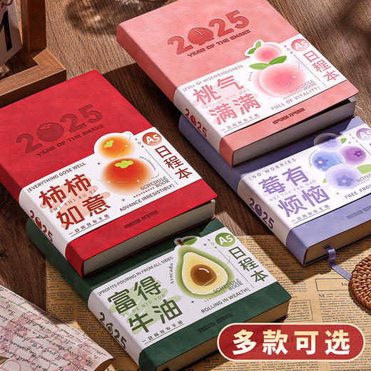 A5日程本2025年学生时间管理规划本商务办公效率记事本节日伴手礼 商品图0
