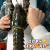 渔禮記 波士顿龙虾 商品缩略图1